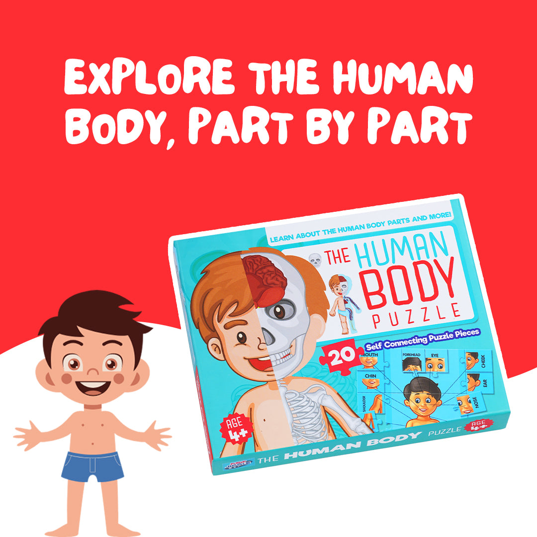 Human Body Parts Puzzle Box for Kids