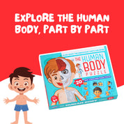 Human Body Parts Puzzle Box for Kids
