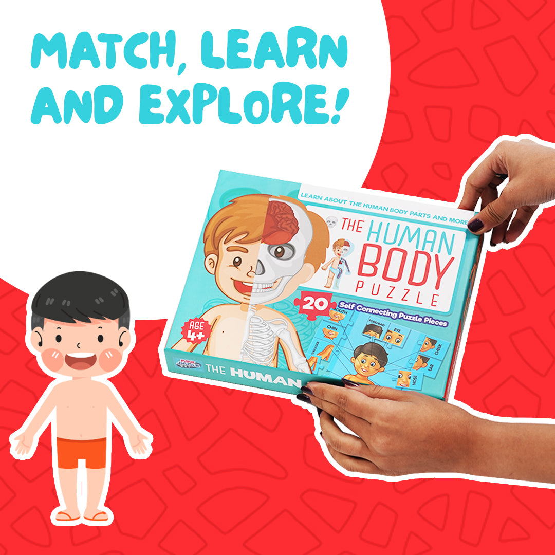 Human Body Parts Puzzle Box for Kids