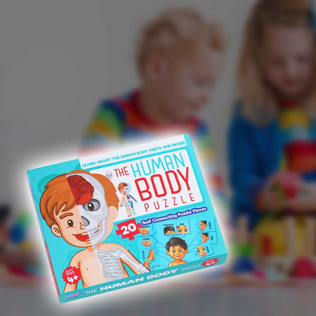 Human Body Parts Puzzle Box for Kids