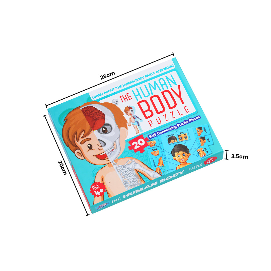 Human Body Parts Puzzle Box for Kids